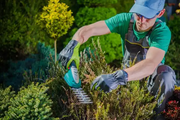 landscaping services East Sparta